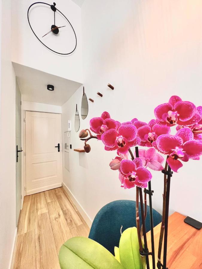 Duplex Le Gesu - Heart Of Old Town - Modern - Wifi - Clim Leilighet Nice Eksteriør bilde